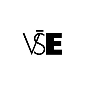VSE-logo